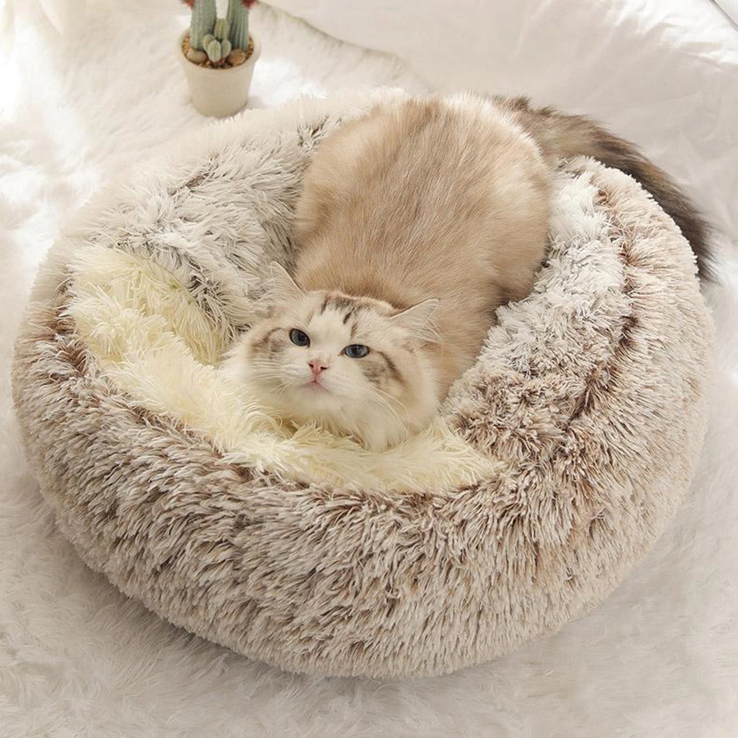 Self Warm Plush Hooded Pet Bed Round Fluffy Soft Cat Bed Pet Warm Cushion Cat Dog 2 in 1 Sleeping Nest Cave for Small Medium Pet